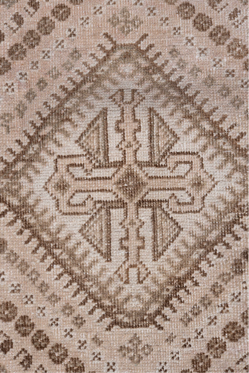Antique Shiraz Area Rug (6' x 9')